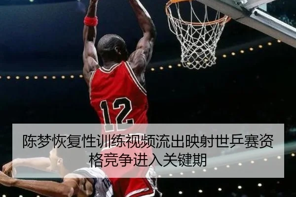 陈梦恢复性训练视频流出映射世乒赛资格竞争进入关键期 | TianboSports